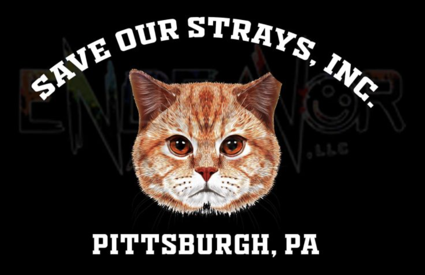 save-our-strays-pittsburgh-image